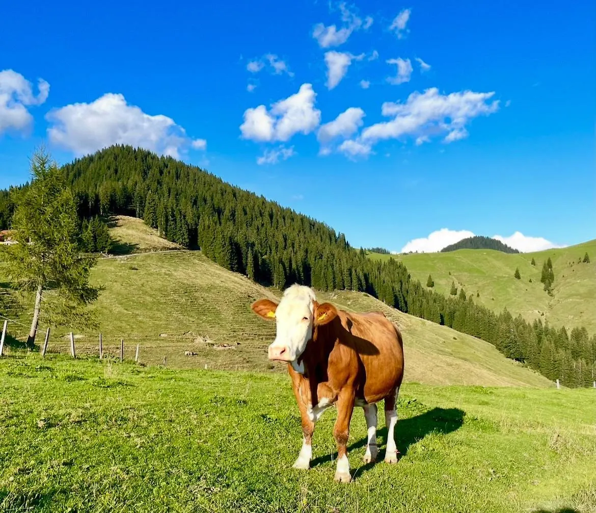 Alpin Chalet Reit Im Winkl 0*,  Németország